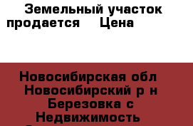 Земельный участок продается. › Цена ­ 690 000 - Новосибирская обл., Новосибирский р-н, Березовка с. Недвижимость » Земельные участки продажа   